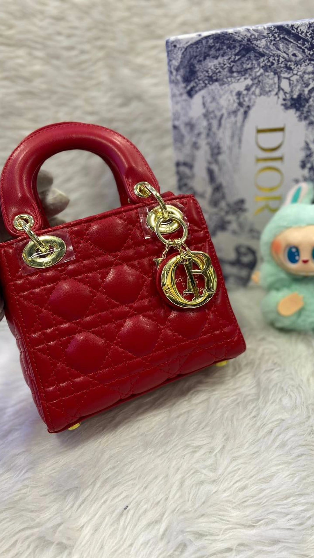 Dior bag lady
