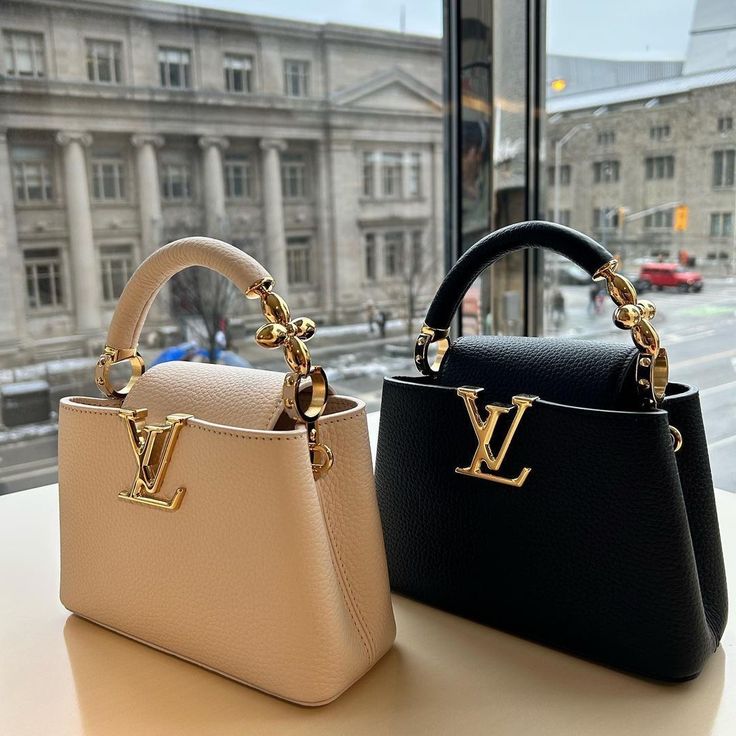 Louis vuitton capucines