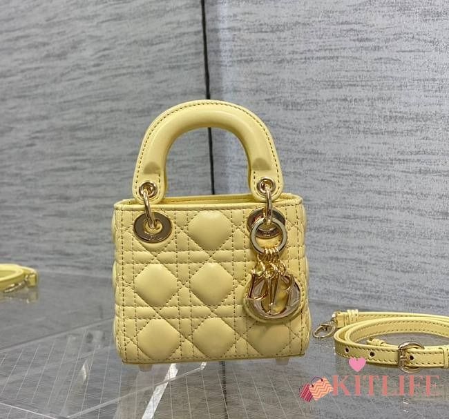 Dior bag lady