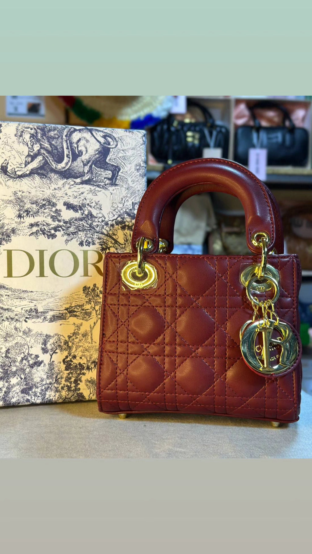 Dior bag lady
