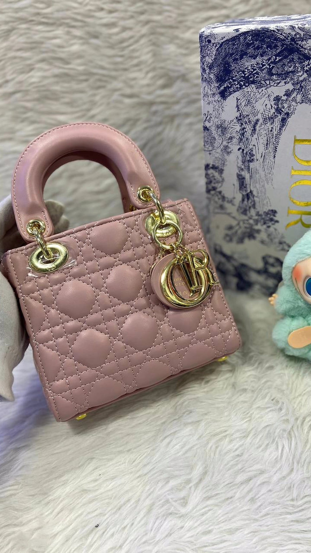 Dior bag lady
