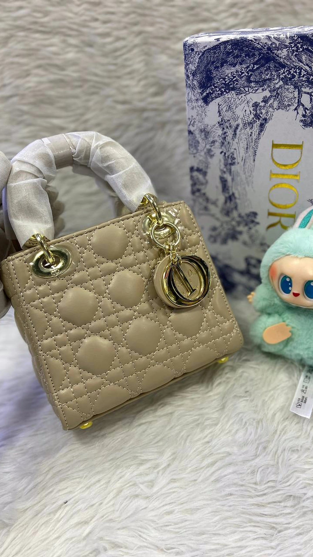 Dior bag lady