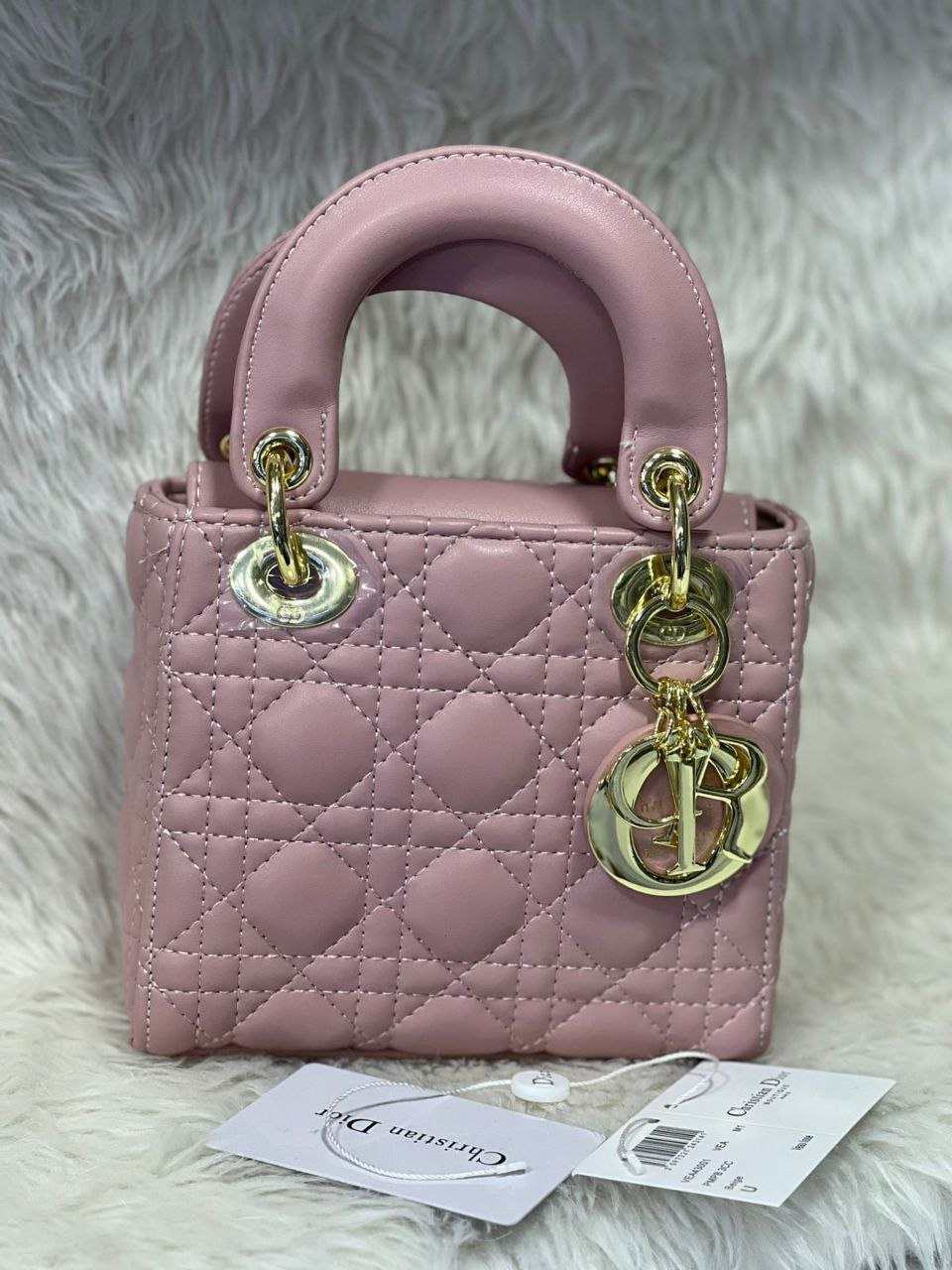 Dior bag lady